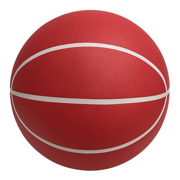 Quiet Bounce Basketball Indoor Training Ball